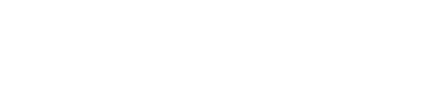 Borderline Genius Logo