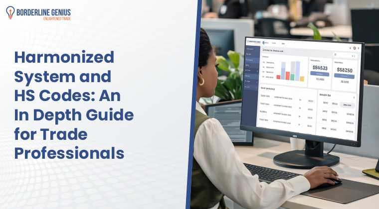 Harmonized System and HS Codes: An In-Depth Guide for Trade Professionals