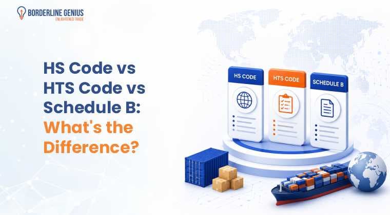 HS Code vs HTS Code vs Schedule B: What’s the Difference?